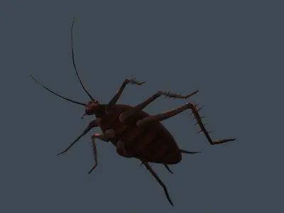 animated cockroach Low-poly 3D model