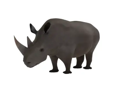 Rhino 3D Model Rigged and Animated Low-poly 3D model