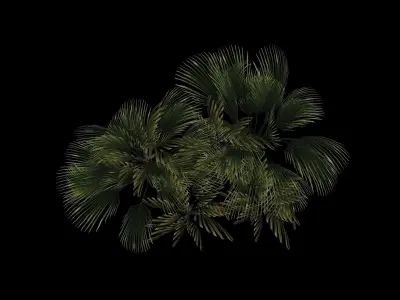 Plants - game ready 3d model palm tree Low-poly 3D model