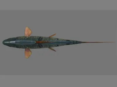 Fish 3D model 001 Low-poly 3D model