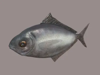 ButterFish fish Low-poly 3D model