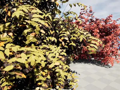 Summer and Burning Shrubbery Bush 3D Model 3D model