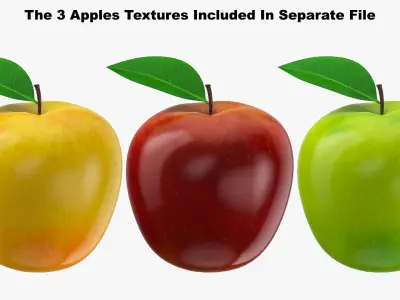 Green Apple 3D model