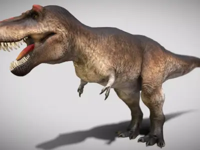 Tyrannosaurus rex Scotty Low-poly 3D model