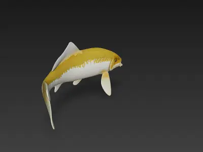 Koi Fish 3D Model Basic - Low Poly Simple Low-poly 3D model