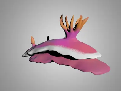 Sea Slug - Nudibranch 3D model
