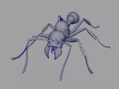 Ant Rig 3D model