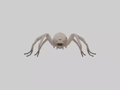 Huntsman Spider Low-poly 3D model