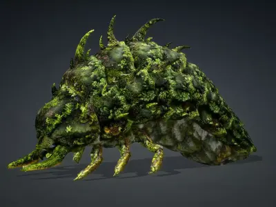 Larval-V2d 3D model