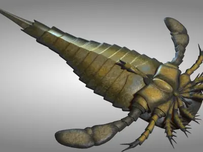 sea scorpion 3D model