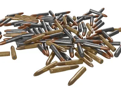 Pile Of Bullet 3D model