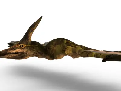 Pterodon 3D Model Free 3D model