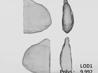 Cut Taiyaki 3D model Low-poly 3D model