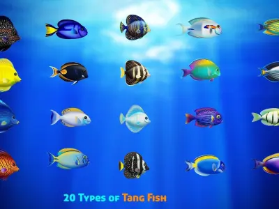 Cartoon Tang Fish Low-poly 3D model