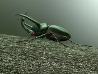 Chalcosoma Atlas beetle Textured no-rigging 3D model