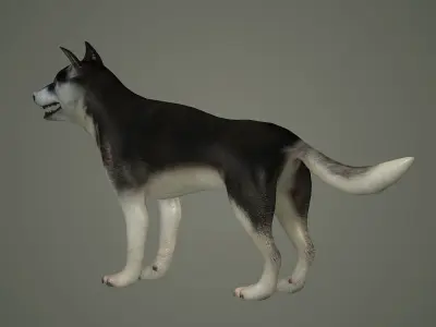 dog animal mammal husky siberian alaska cabin snow perro 3D model
