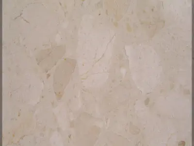 vitrin retail store with display case Free 3D model