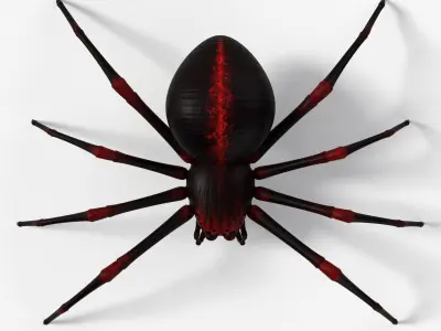 Rigged Spider with 8K PBR Textures Low-poly 3D model