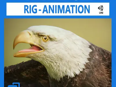 Bald Eagle v3 - Unity Low-poly 3D model