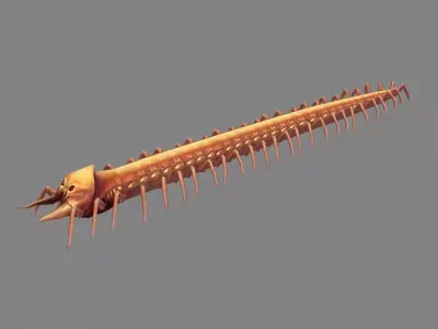 Cartoon Centipede Monster Low-poly 3D model