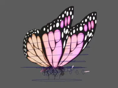 Flying Butterfly  Rigged Model 3D model