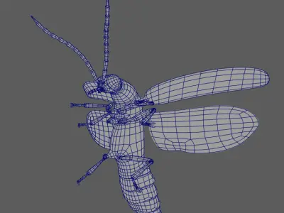 Firefly beetle 3D model