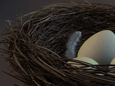 Bird nest 3D model