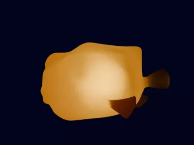 Indirect lighting with pufferfish and boxfish 3D model