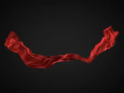 Cloth simulation 3D model