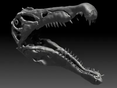 Spinosaurus 2020 version Skull Set Skeletons Sculpt Project 3D model