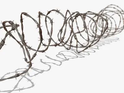 Razor Barbed Wire 3D model