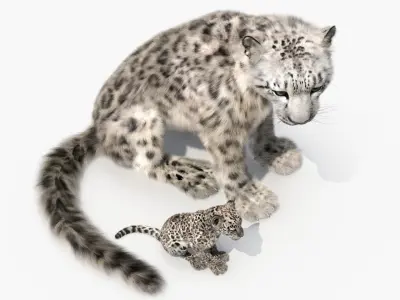 Snow Leopard Mother and Calf Fur 3D model purchase