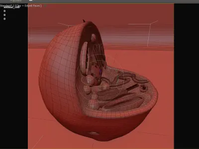 Animal cell Free 3D model