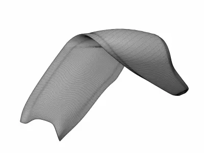 Salmon Filet 3D model