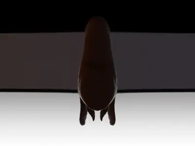 Impala Head Sculpt Free 3D model