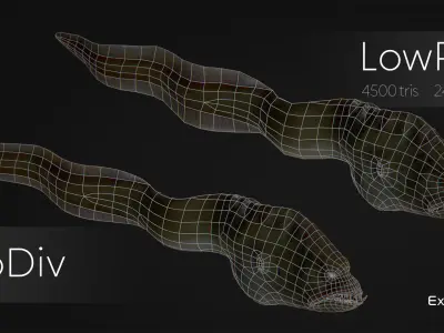Fish low poly model - Moray Eel fish - horror - monster fish 4 Low-poly 3D model