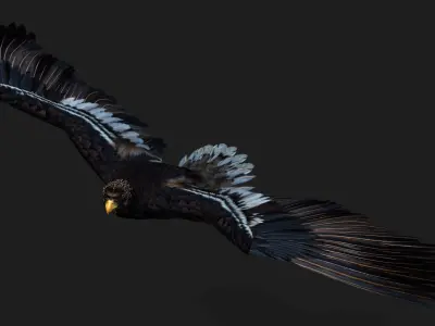 Eagle A3 3D model