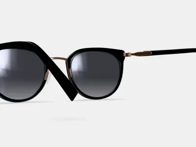 Whittier Sunglasses in Jet Black with Polished Gold 3D model