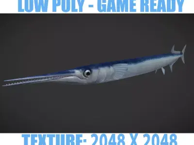 SwordFish fish with long tail Low-poly 3D model