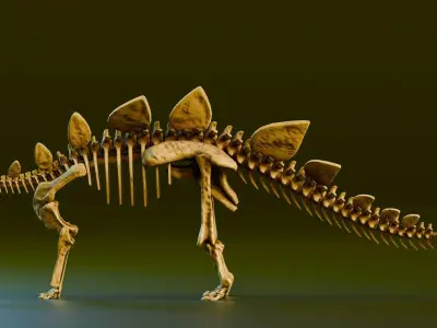 Realistic Ancient Reptilians Fossil - Stegosaurus Low-poly 3D model