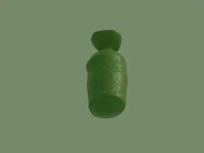 Cocoon 3D model