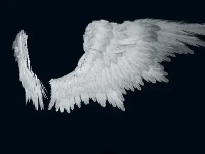 Wings Low-poly 3D model