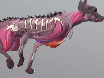 Hybrid Police Dog DoberMan Run Cycle 3D model