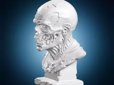 Decaying Zombie Sculpture 3D print model