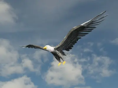 Eagle Model Game Ready flying in sky Low-poly 3D model