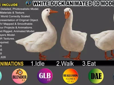 Duck Rigged Animated 3 Low-poly 3D model
