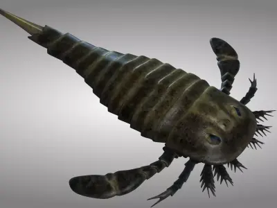 sea scorpion 3D model