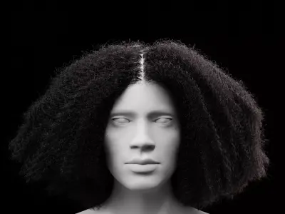 Middle Part Curls 3D model