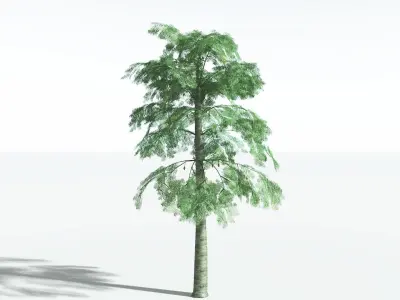 EVERYPlant Alethopteris Seed Fern LowPoly 1 --12 Models-- Low-poly 3D model