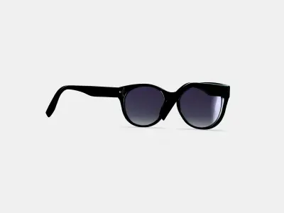 Annika Sunglasses in Jet Black 3D model